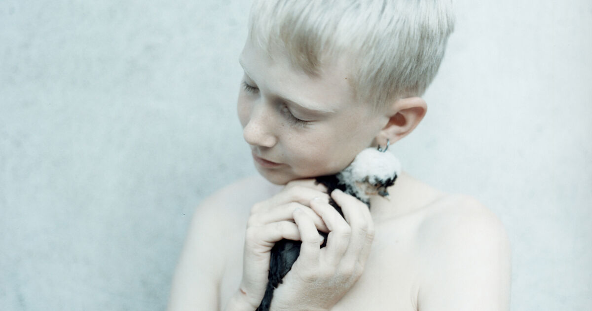 Holding Anna Clarén 希少洋書写真集 Holding Anna Clarén 希少洋書写真集 - メルカリ